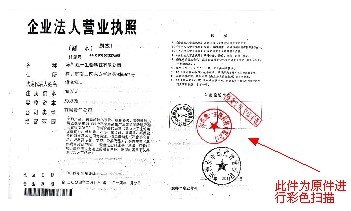 白云网站建设 营业执照范本